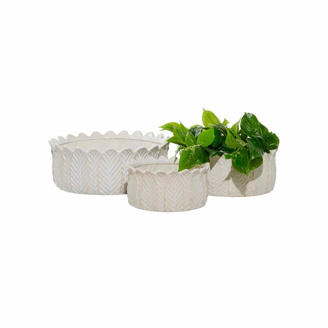 Juego de 3 macetas de ceramica blanca con textura de hojas