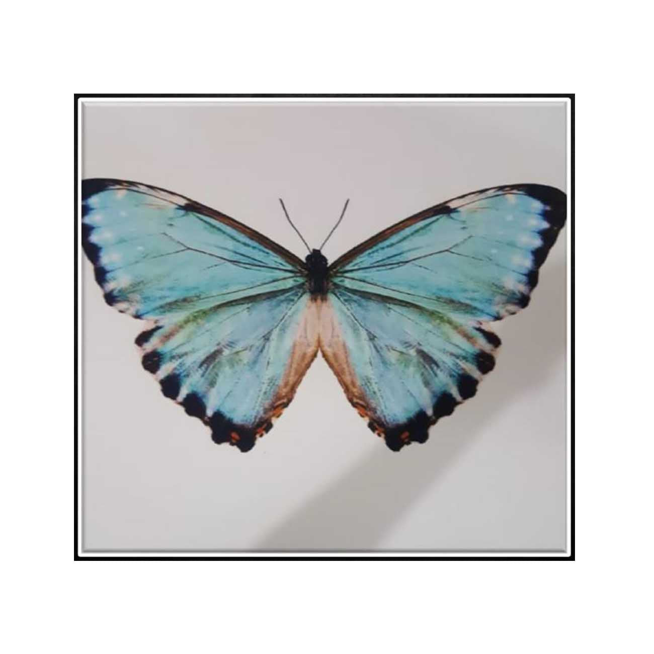 IMPRESION MINI MARIPOSA CIELO