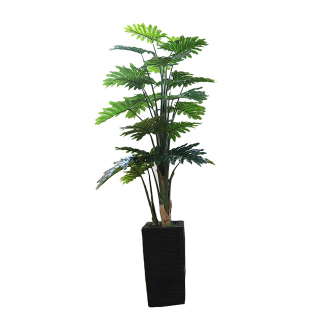 MACETA CON PLANTA HOJA FELIX VERDE DE 1.50 MTS