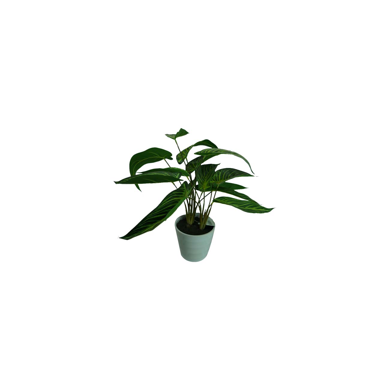 PLANTA ART CH SYNGONIUM 46 CMS
