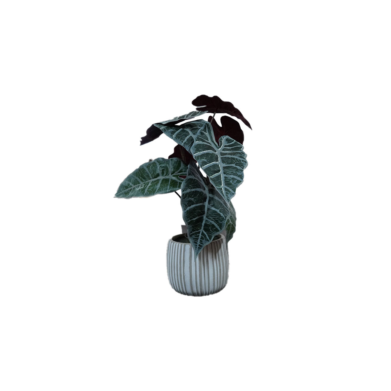 PLANTA ART CH ALOCASIA 42 CMS