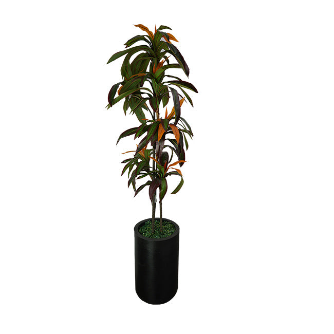 MACETA PISA CON DRACAEMA 1.7 ROJA