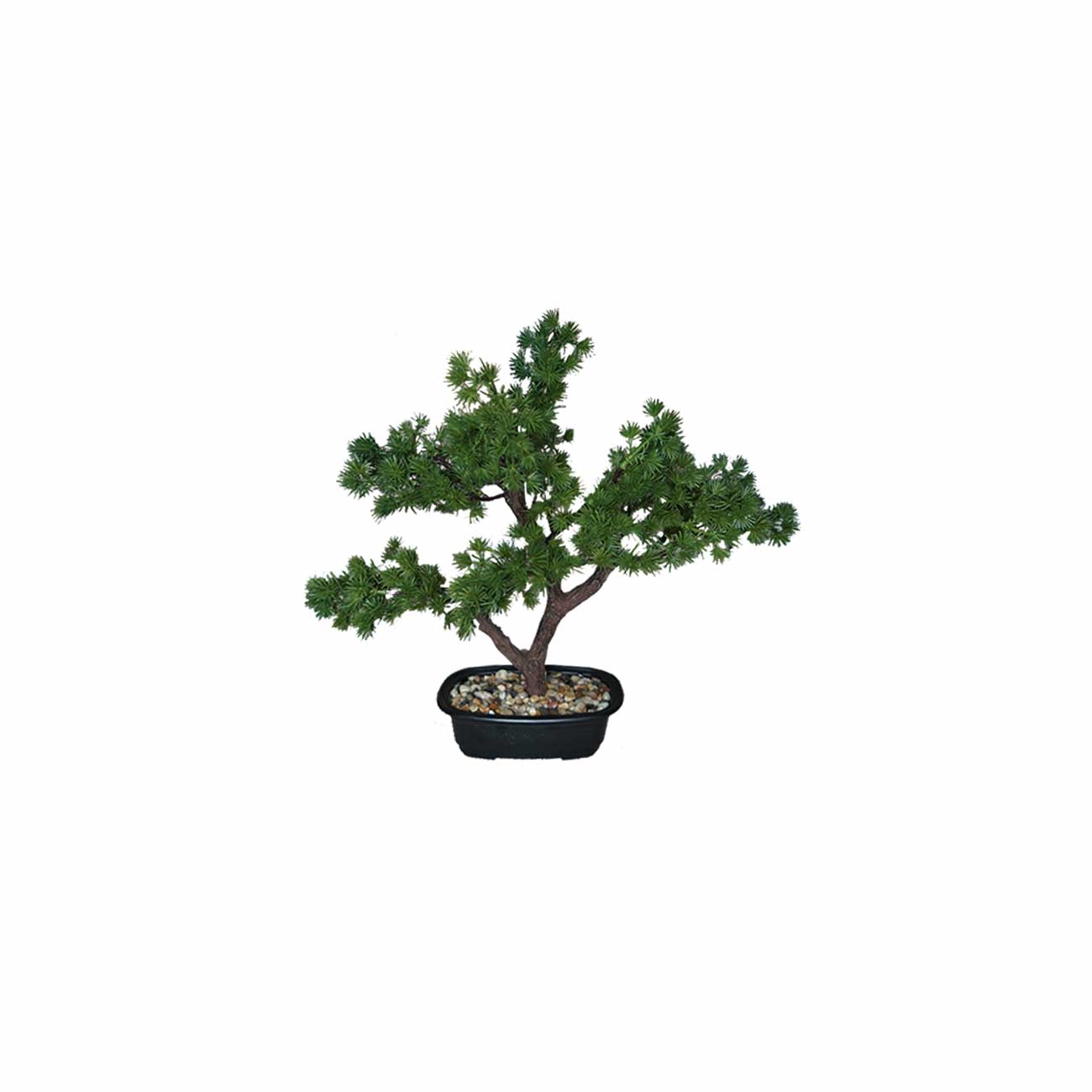 PLANTA BONSAI 40 CMS