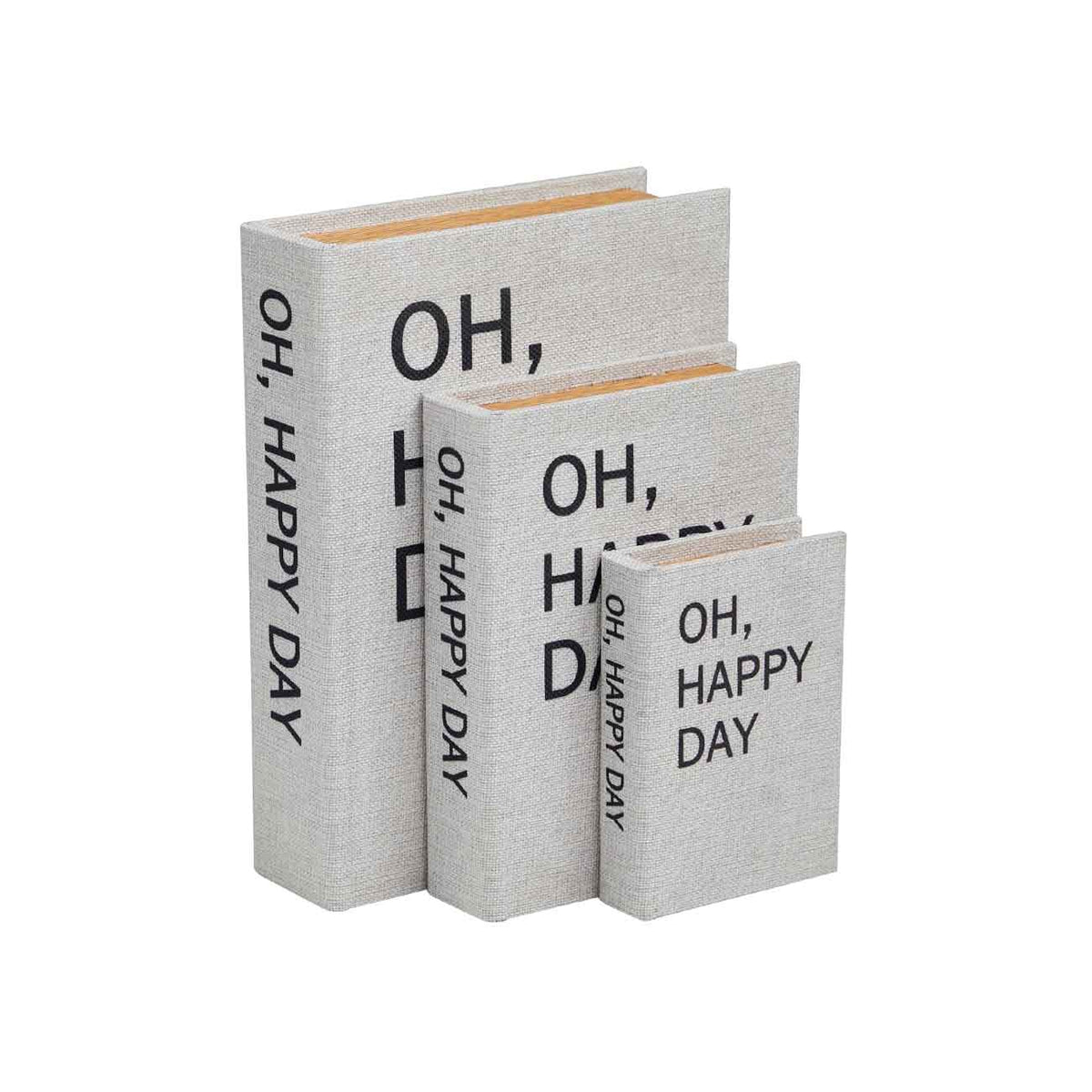 SET DE 3 CAJA DE LIBROS