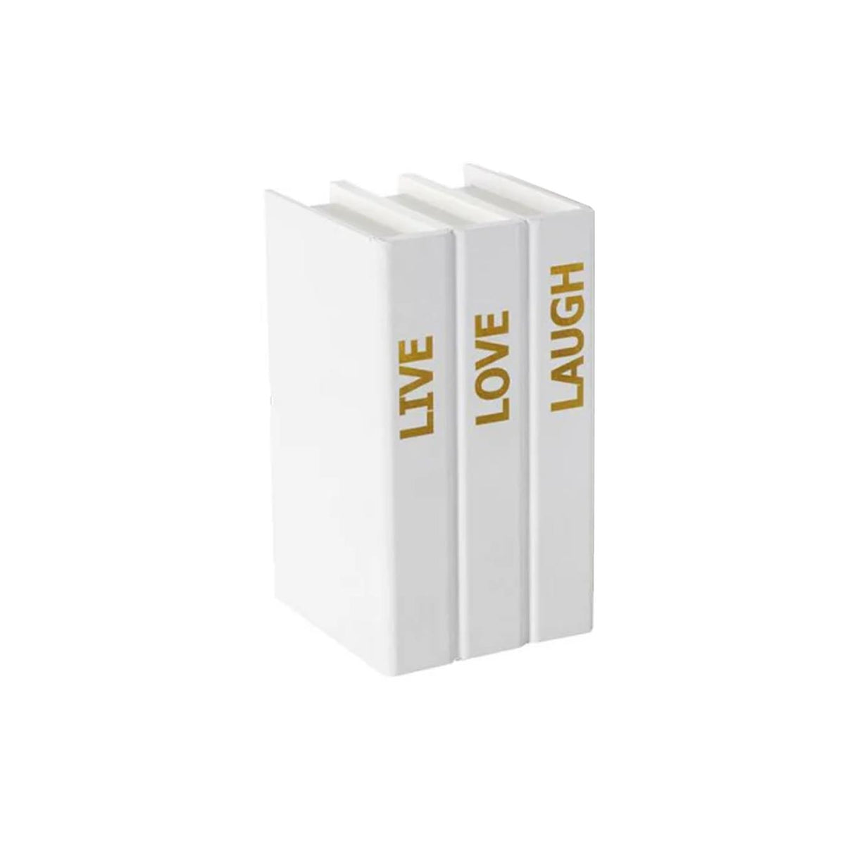 SET DE CAJA DE LIBROS