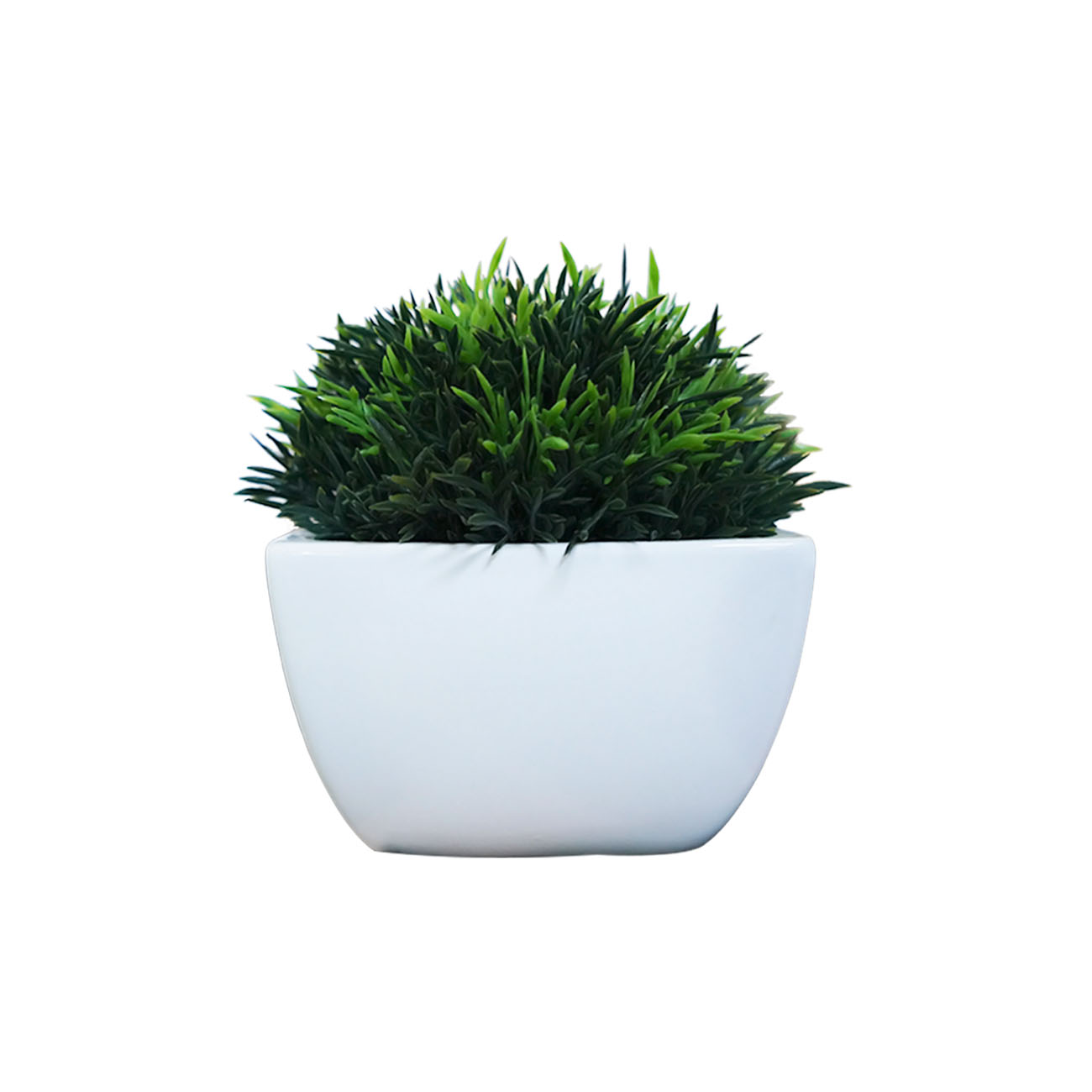PLANTA ARTIFICIAL