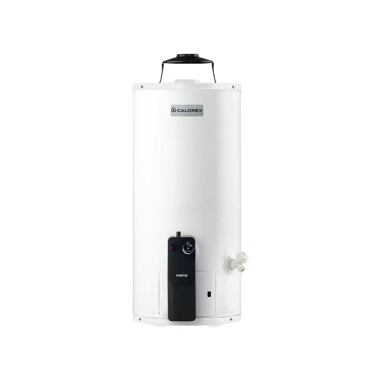 Boiler de deposito calorex fortis 10 lp