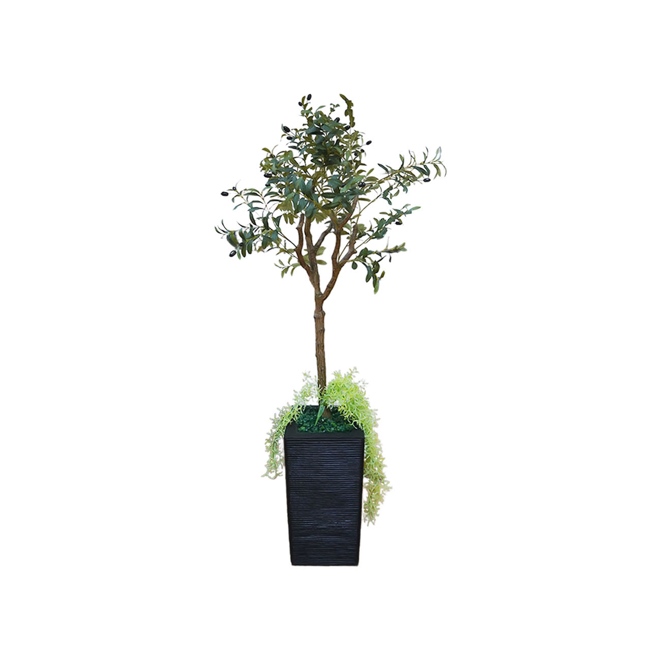 MACETA PERU  CON PLANTA ARTIFICIAL OLIVO 150 CM
