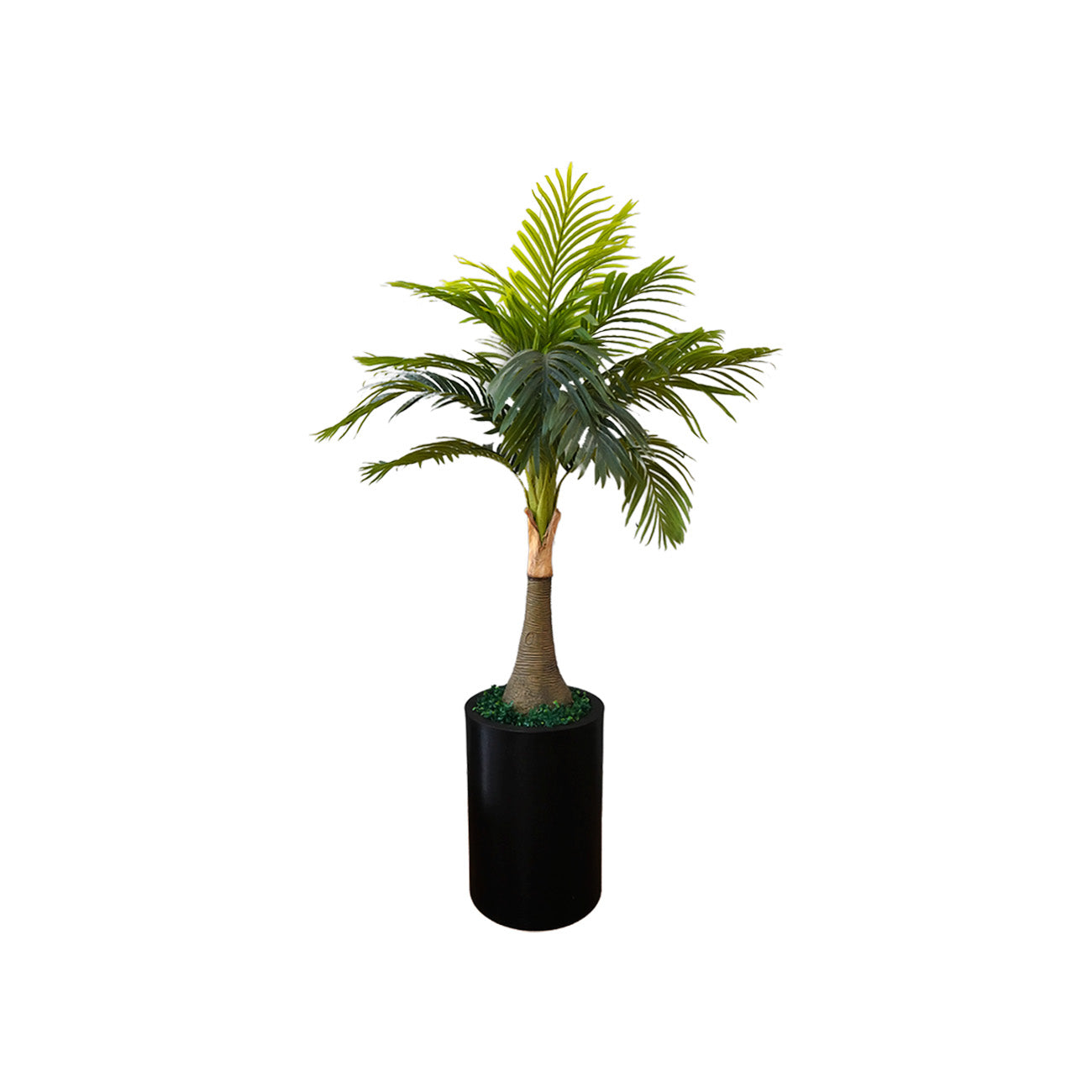 MACETA PISA CON  PLANTA PALMA ARECA 1.30 MTS VERDE