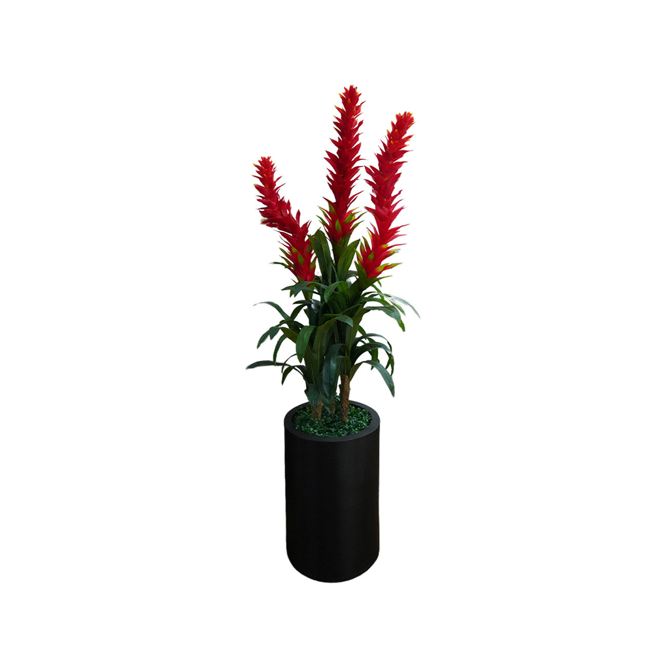 MACETA PISA CON  PLANTA DRACAENA FLOR 1.35 MTS ROJA