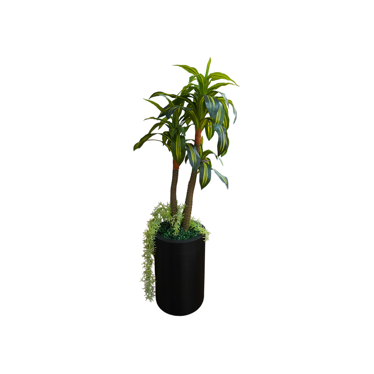MACETA PISA CON PLANTA DRACAENA 1.20MTS VERDE/AMARILLO
