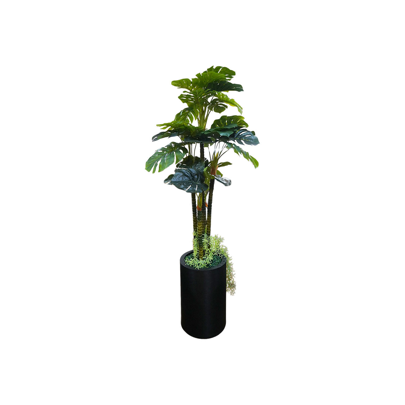 MACETA PISA CON PLANTA HOJA PHILO