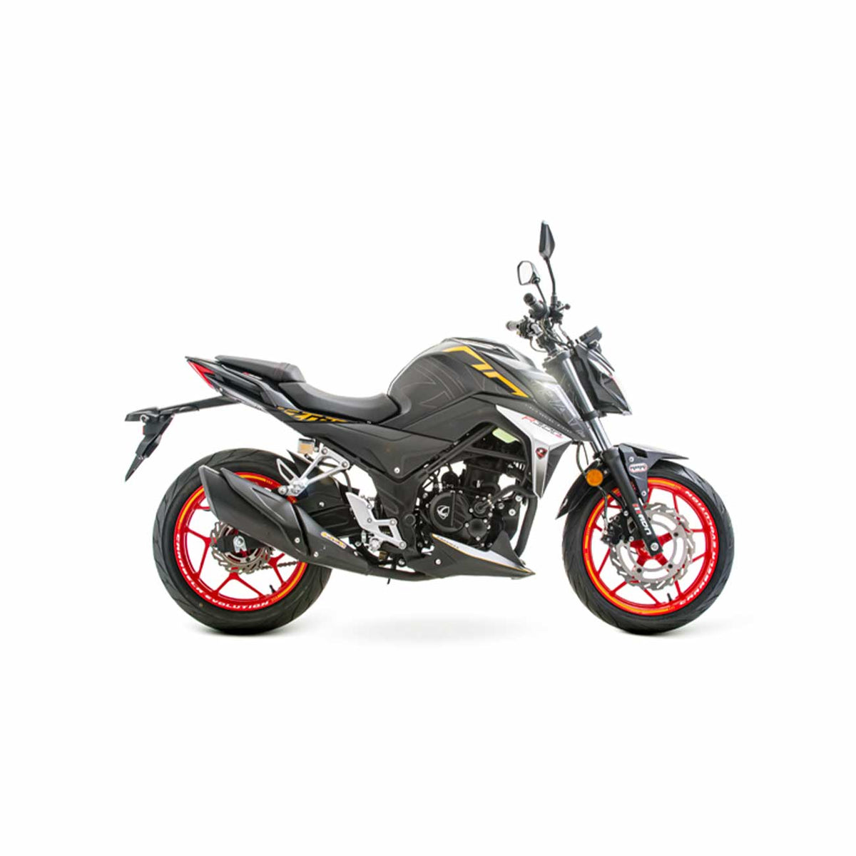 Motocicleta R300Z 300cc Negra Carabela